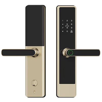 T5 Semi-Automatic Smart Fingerprint Door - product view 2